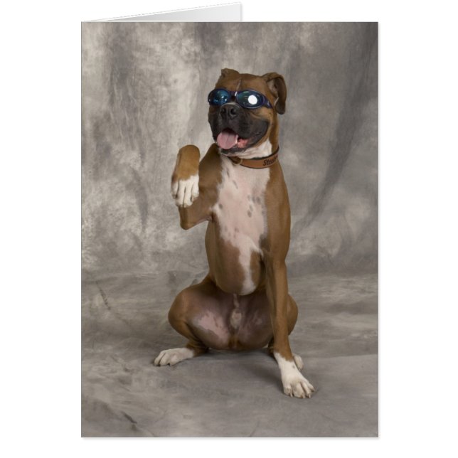 Cool Boxer (Vorne)
