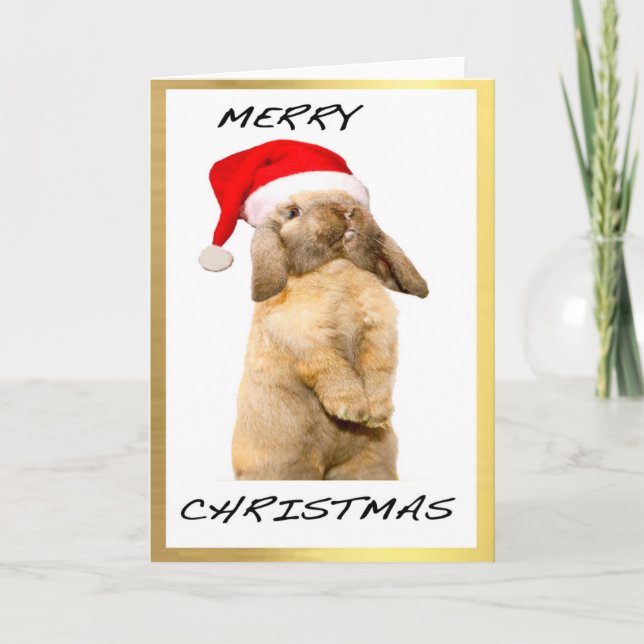 "Cool Bunny" Design Christmas cards Feiertagskarte (Vorderseite)