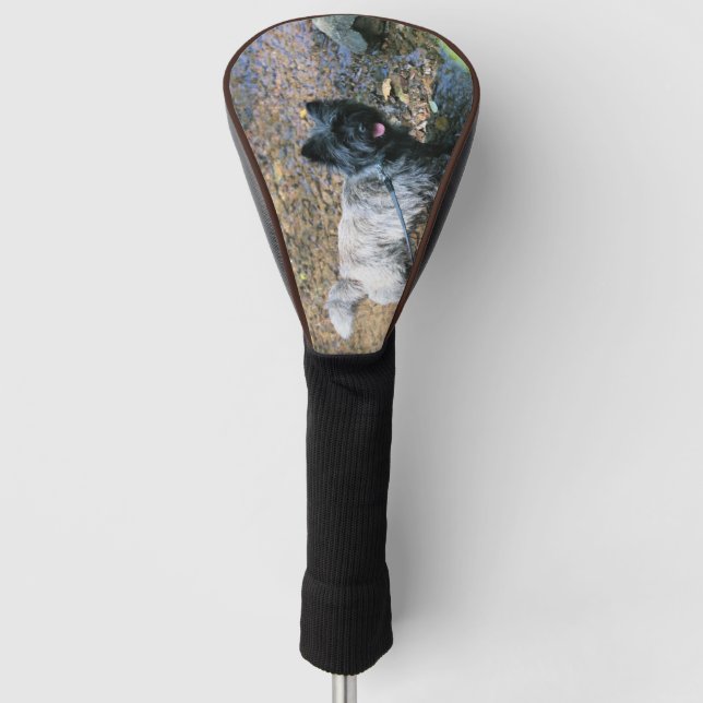 Cool Cairn Golf Headcover (Vorderseite)