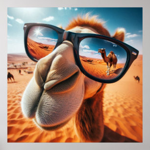 Cool Camel Poster