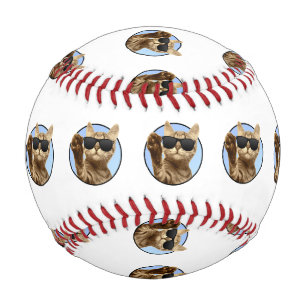 Cool Cat Baseball