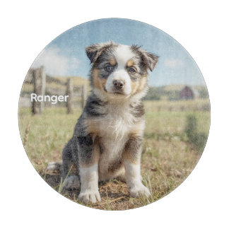 Cool Cattle Dog Peronalized Glass Schneidebrett