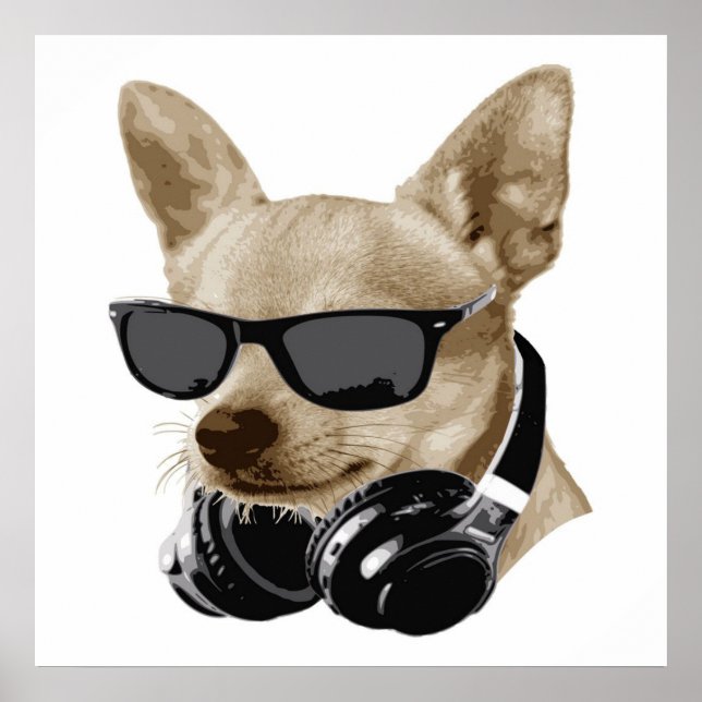Cool Chihuahua | Chihuahua mit Brillen Poster (Vorne)