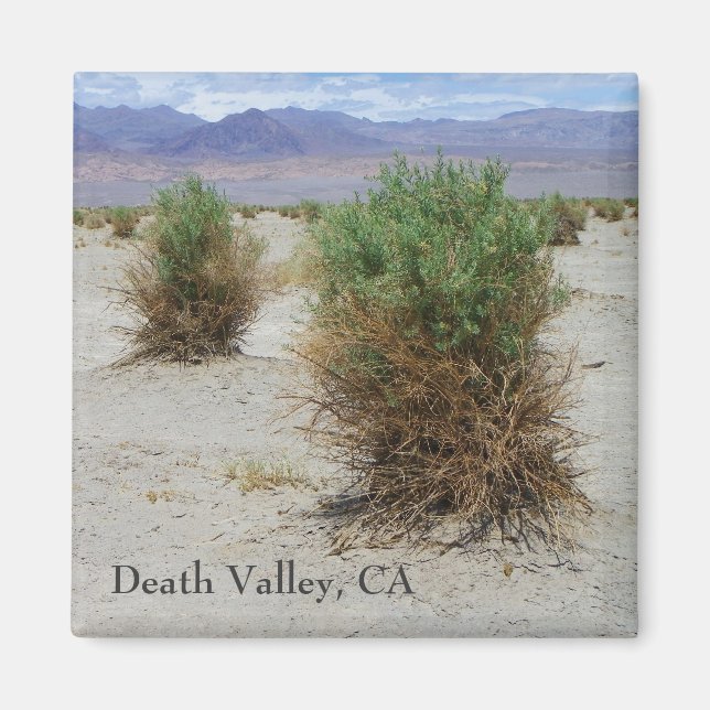 Cool Death Valley Magnet! Magnet (Vorne)