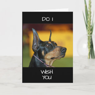 **COOL DOBERMAN** sagt GLÜCKLICH "40." Karte