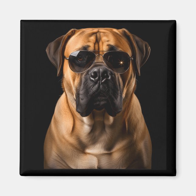 Cool Dog Sungles Bullmastiff Funny Look  Magnet (Vorne)