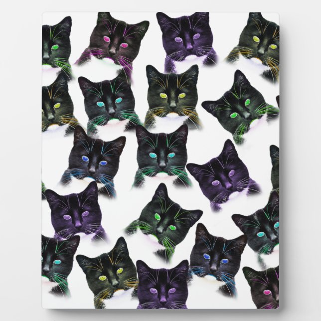 Cool Fotoplatte (Vorderseite)