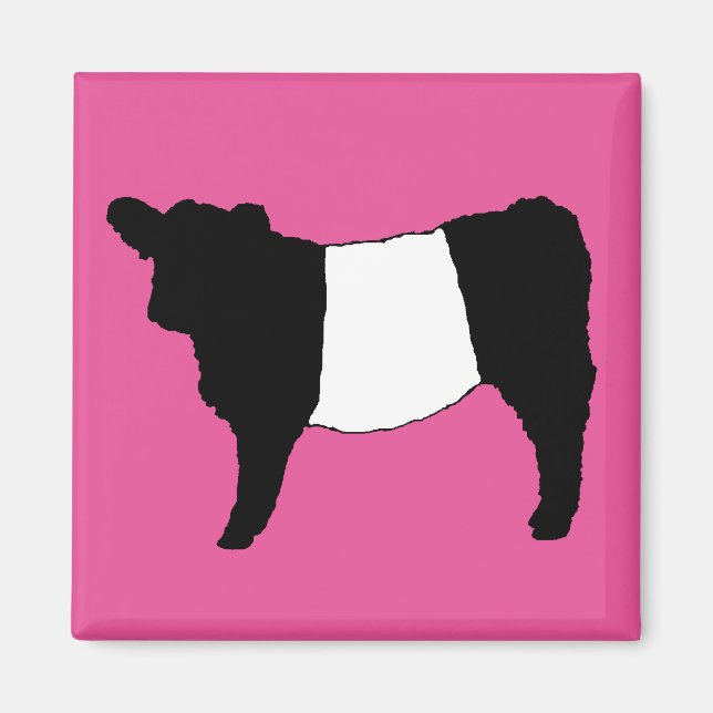 Cool Galloway Rinder Seltenes Kuh Beltie Steer Magnet (Vorne)