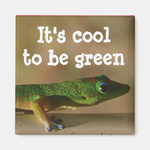 Cool Green Gecko Magnet