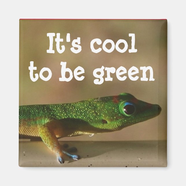 Cool Green Gecko Magnet (Vorne)