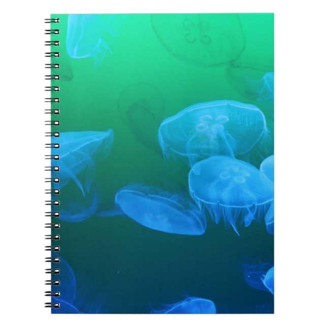 Cool Jellyfish Green Blue Gradient Notizblock (Vorderseite)