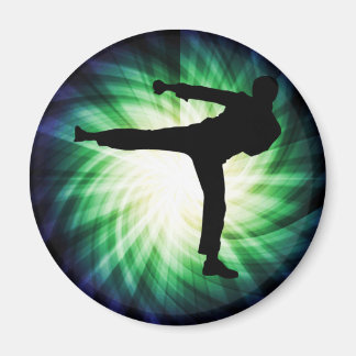 Cool Karate Kick Magnet