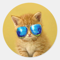 Cool Kitten in Sonnenbrille