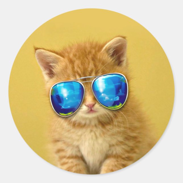 Cool Kitten in Sonnenbrille Runder Aufkleber (Vorderseite)