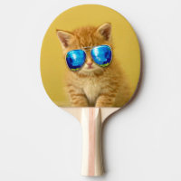 Cool Kitten in Sonnenbrille