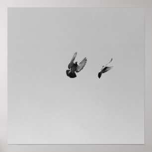 Cool Modernes B&W fliegender Vogel, einfach modern Poster