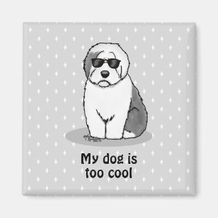 Cool Old English Sheepdog (Grau 1) Niedlich Funny Magnet