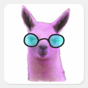 Cool Pink Llama! Quadratischer Aufkleber