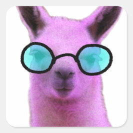 Cool Pink Llama! Quadratischer Aufkleber