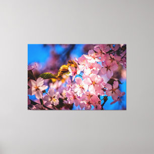 Cool Sakura Garland Leinwanddruck