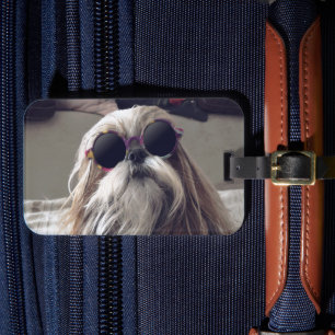 Cool Shih Tzu lang haar Vintag Sonnenbrille Foto Gepäckanhänger
