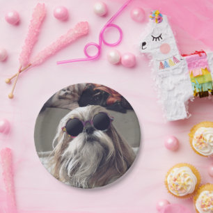 Cool Shih Tzu lang haar Vintag Sonnenbrille Foto Pappteller