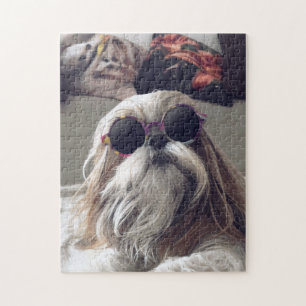 Cool Shih Tzu lang haar Vintag Sonnenbrille Foto Puzzle