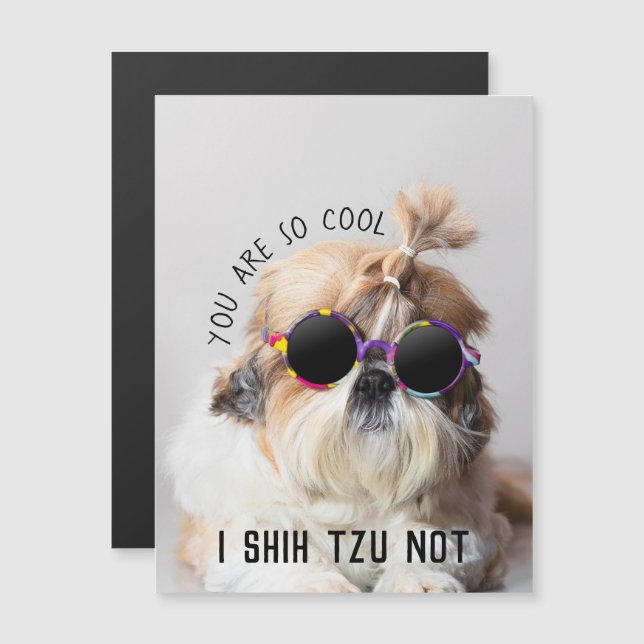 Cool Shih Tzu Nicht lustig niedliche Sonnenbrille  Magnetkarte (Vorne/Hinten)