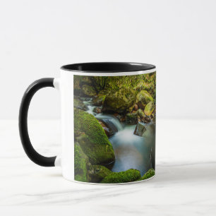 Coolalingo Wasserfälle Tasse: Ruhe in Wicklow Tasse