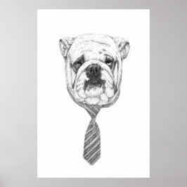 Cooldog Poster