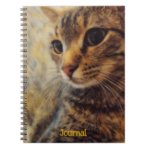 Coole Cat Art Personalisiert Journal Spirale Notizblock