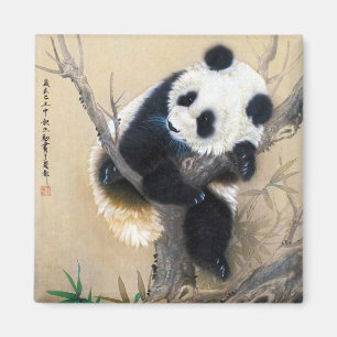 Coole chinesische niedliche Panda-Bärenkunst Magnet