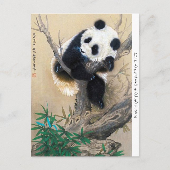 Coole chinesische niedliche Panda-Bärenkunst Postkarte (Vorderseite)