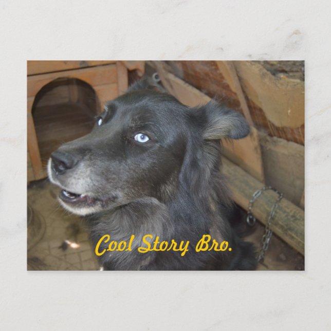 Coole Geschichte Bro Postkarte (Vorderseite)