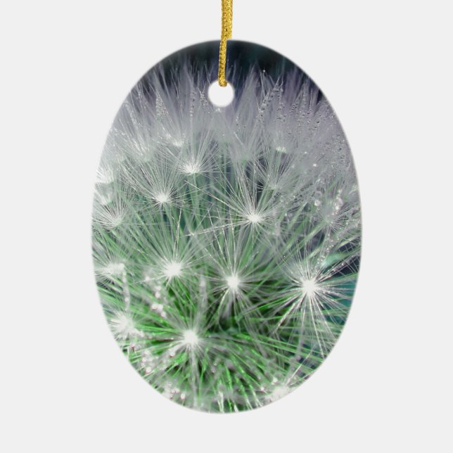 Coole grüne und weiße Kronleuchte mit Wassertropfe Keramikornament (Vorne)