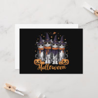 Coole Halloween-Katzen-Geschenke für ihr Töchterge