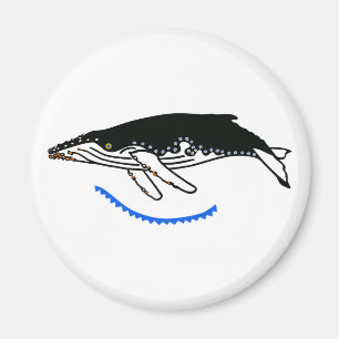 Coole Humpback WHALE- gefährdete Tierart - Wildtie Magnet