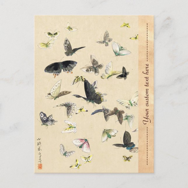 Coole japanische Vintage Ukiyo-e-Schmetterling-Rol Postkarte (Vorderseite)