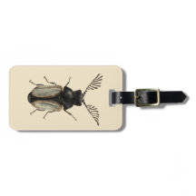 Coole Käfer-Insektenkunst