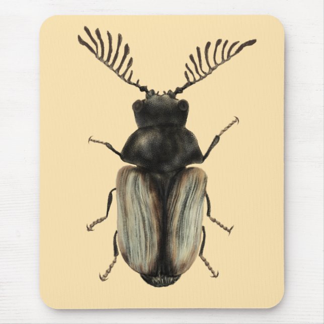 Coole Käfer-Insektenkunst Mousepad (Vorne)