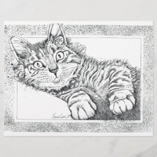 Coole Katze