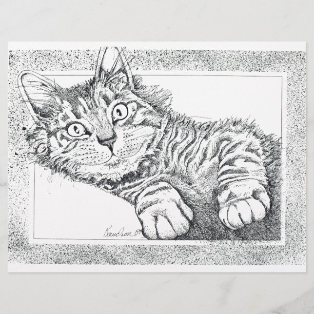 Coole Katze (Vorderseite)