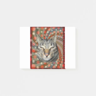 Coole Katze - DU KANNST Deinen Geschenk! Post-it Klebezettel