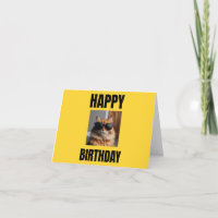 Coole Katze Geburtstagskarte für Katzen Liebhaber,