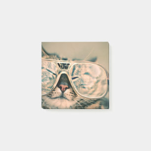 Coole Katze im Glas-Fotodruck Post-it Klebezettel