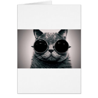 coole Katze Kool Kat mit Sonnenbrille