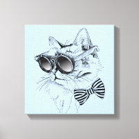 Coole Katze