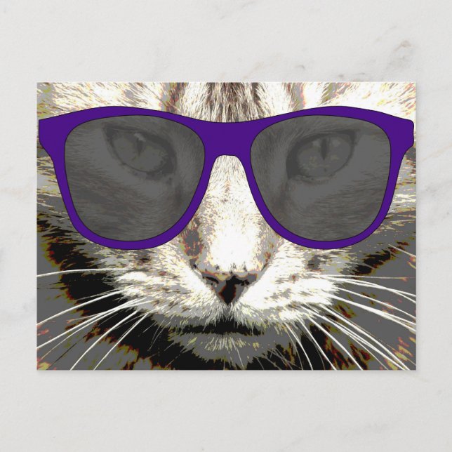 coole Katze mit einer Sonnenbrille auf Postkarten (Vorderseite)