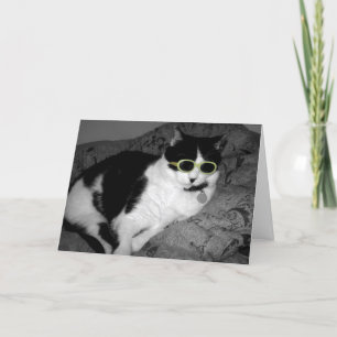 Coole Katze mit Sonnenbrille Geburtstagskarte Karte
