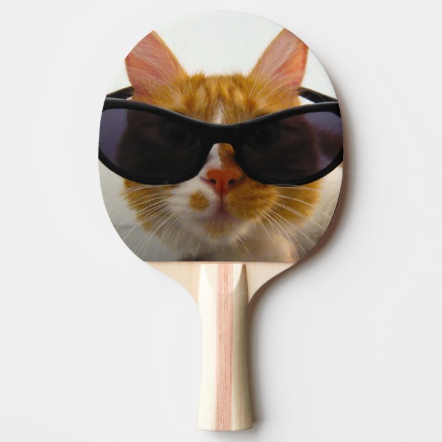 Coole Katze mit SonnenbrillenPing Pong Paddel Tischtennis Schläger (Vorderseite)
